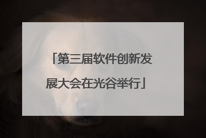 第三届软件创新发展大会在光谷举行