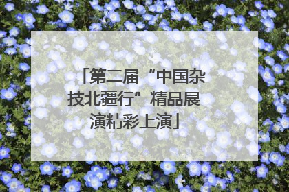第二届“中国杂技北疆行”精品展演精彩上演
