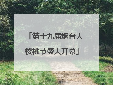 第十九届烟台大樱桃节盛大开幕