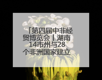 第四届中非经贸博览会丨湖南14市州与28个非洲国家建立对口合作机制