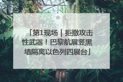 第1现场｜拒撤攻击性武器！巴黎航展竖黑墙隔离以色列四展台