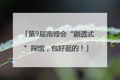 第9届南博会“剧透式”探馆，包好逛的！
