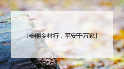 美丽乡村行，平安千万家