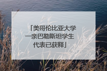 美哥伦比亚大学一亲巴勒斯坦学生代表已获释