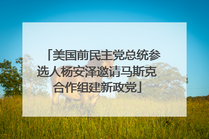 美国前民主党总统参选人杨安泽邀请马斯克合作组建新政党