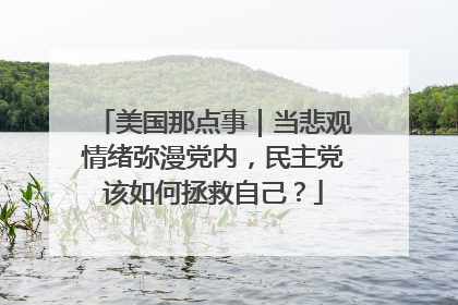 美国那点事｜当悲观情绪弥漫党内，民主党该如何拯救自己？