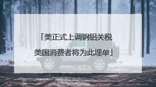 美正式上调钢铝关税 美国消费者将为此埋单
