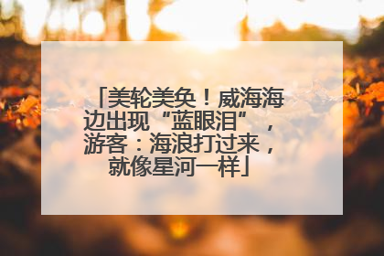 美轮美奂！威海海边出现“蓝眼泪”，游客：海浪打过来，就像星河一样