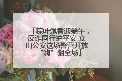 粽叶飘香迎端午，反诈同行护平安 立山公安这场警营开放“嗨”翻全场