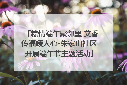粽情端午聚邻里 艾香传福暖人心-朱家山社区开展端午节主题活动
