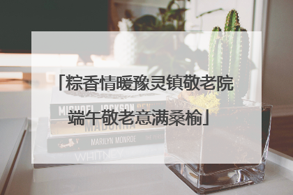 粽香情暖豫灵镇敬老院 端午敬老意满桑榆
