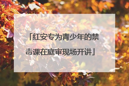 红安专为青少年的禁毒课在庭审现场开讲
