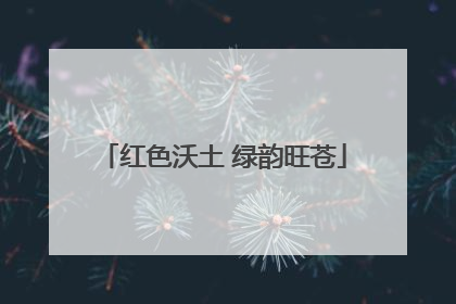 红色沃土 绿韵旺苍