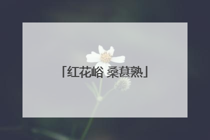 红花峪 桑葚熟