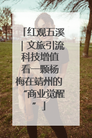 红观五溪｜文旅引流 科技增值 看一颗杨梅在靖州的“商业觉醒”