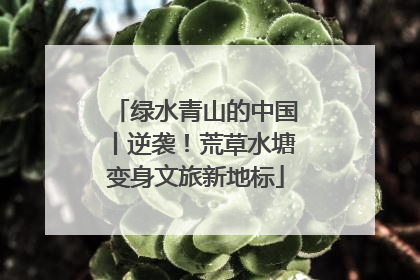 绿水青山的中国丨逆袭！荒草水塘变身文旅新地标