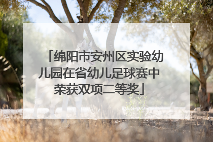 绵阳市安州区实验幼儿园在省幼儿足球赛中荣获双项二等奖