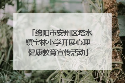 绵阳市安州区塔水镇宝林小学开展心理健康教育宣传活动
