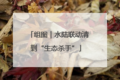 组图｜水陆联动清剿“生态杀手”