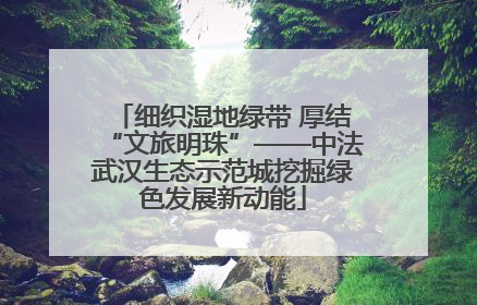 细织湿地绿带 厚结“文旅明珠”——中法武汉生态示范城挖掘绿色发展新动能
