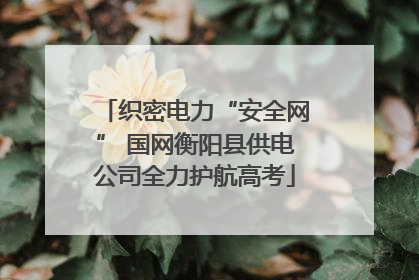 织密电力“安全网” 国网衡阳县供电公司全力护航高考