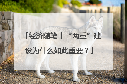 经济随笔丨“两重”建设为什么如此重要？