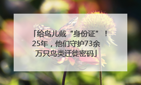 给鸟儿戴“身份证”！25年，他们守护73余万只鸟类迁徙密码