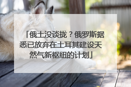 俄土没谈拢？俄罗斯据悉已放弃在土耳其建设天然气新枢纽的计划