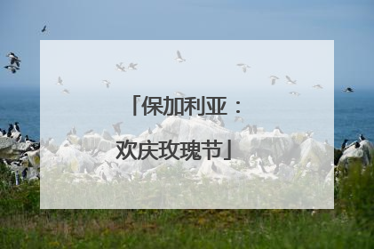 保加利亚：欢庆玫瑰节