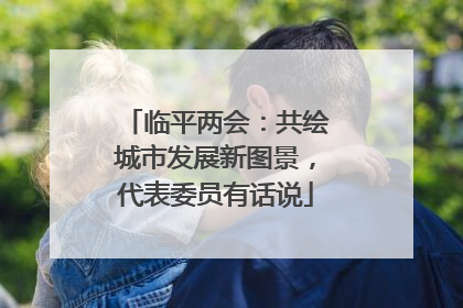 临平两会：共绘城市发展新图景，代表委员有话说