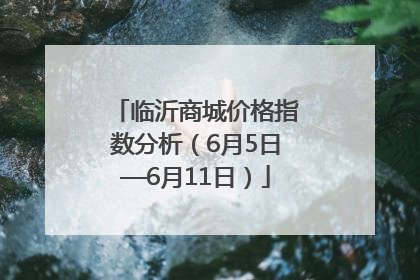临沂商城价格指数分析（6月5日—6月11日）