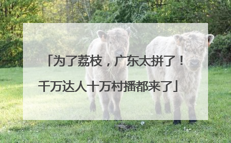 为了荔枝，广东太拼了！千万达人十万村播都来了