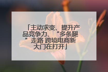 主动求变、提升产品竞争力、“多条腿”走路 跨境电商新大门在打开