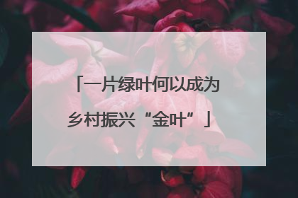 一片绿叶何以成为乡村振兴“金叶”