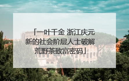 一叶千金 浙江庆元新的社会阶层人士破解荒野茶致富密码