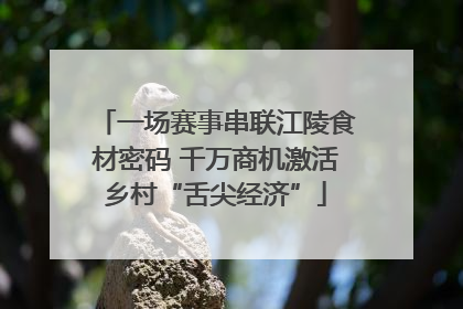 一场赛事串联江陵食材密码 千万商机激活乡村“舌尖经济”