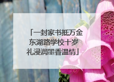 一封家书抵万金 东湖路学校十岁礼浸润墨香温情