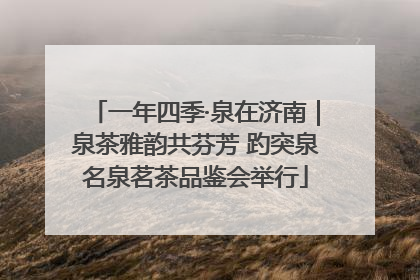 一年四季·泉在济南｜泉茶雅韵共芬芳 趵突泉名泉茗茶品鉴会举行