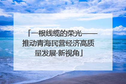 一根线缆的荣光——推动青海民营经济高质量发展·新视角