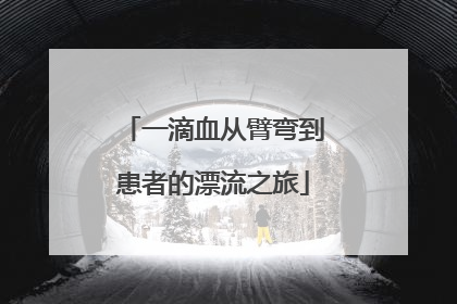一滴血从臂弯到患者的漂流之旅