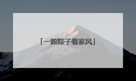 一颗粽子看家风