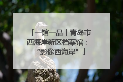 一馆一品丨青岛市西海岸新区档案馆：“影像西海岸”
