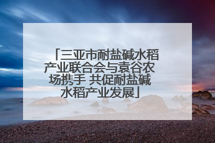 三亚市耐盐碱水稻产业联合会与袁谷农场携手 共促耐盐碱水稻产业发展
