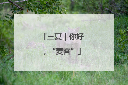 三夏｜你好，“麦客”