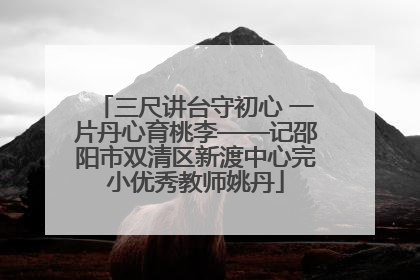 三尺讲台守初心 一片丹心育桃李——记邵阳市双清区新渡中心完小优秀教师姚丹