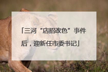 三河“店招改色”事件后，迎新任市委书记