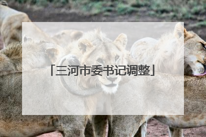 三河市委书记调整