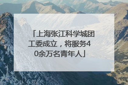 上海张江科学城团工委成立，将服务40余万名青年人