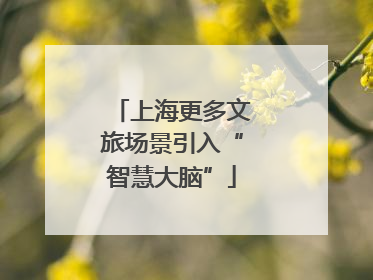 上海更多文旅场景引入“智慧大脑”