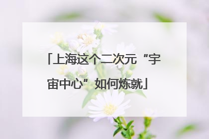 上海这个二次元“宇宙中心”如何炼就